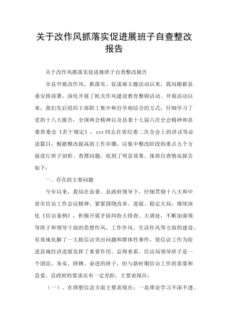 关于改作风抓落实促发展班子自查整改报告