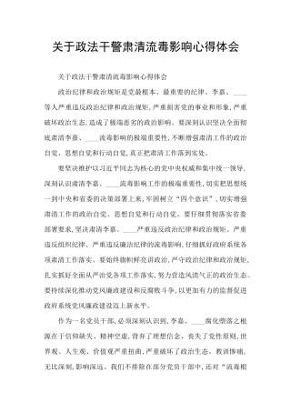 关于政法干警肃清流毒影响心得体会