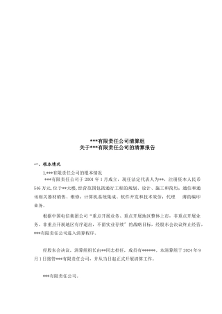 关于某有限责任公司的清算报告