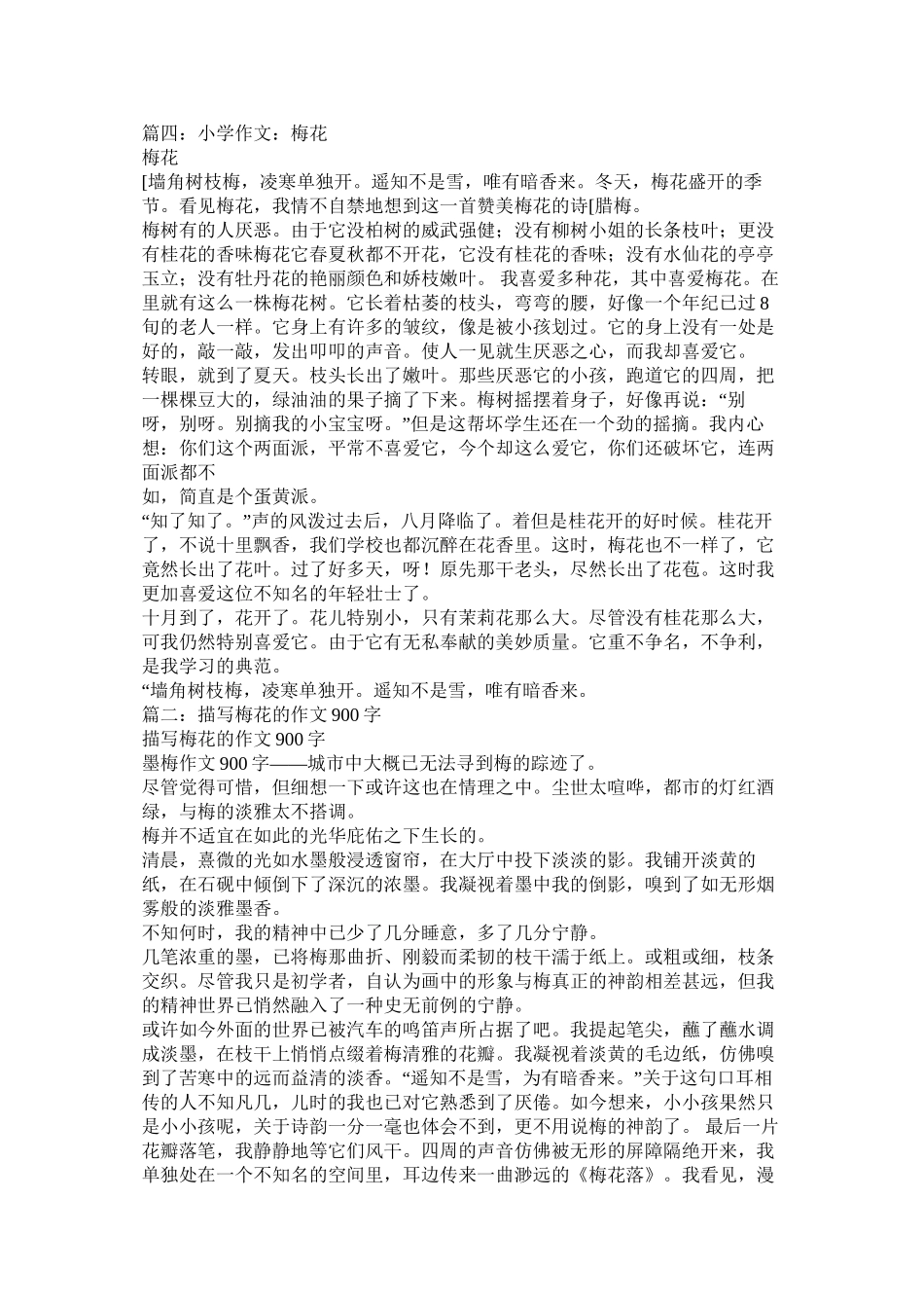 关于梅花精神的作文精选_第3页