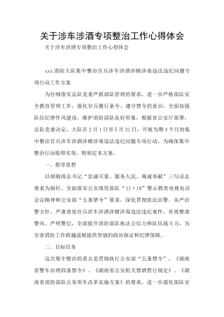 关于涉车涉酒专项整治工作心得体会
