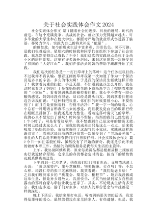 关于社会实践体会作文2024