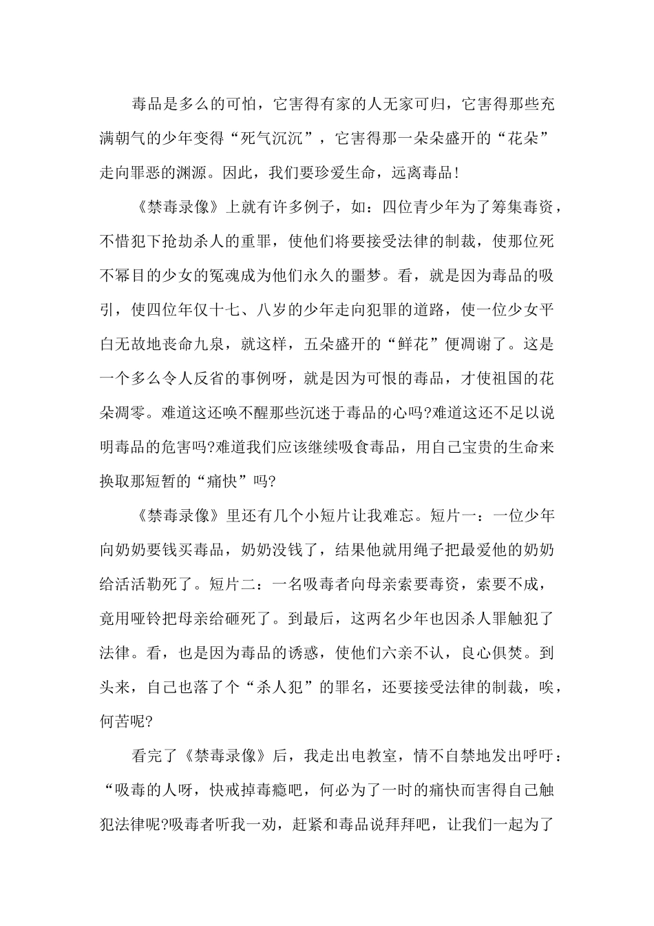 关于禁毒的的观后感作文多篇_第3页