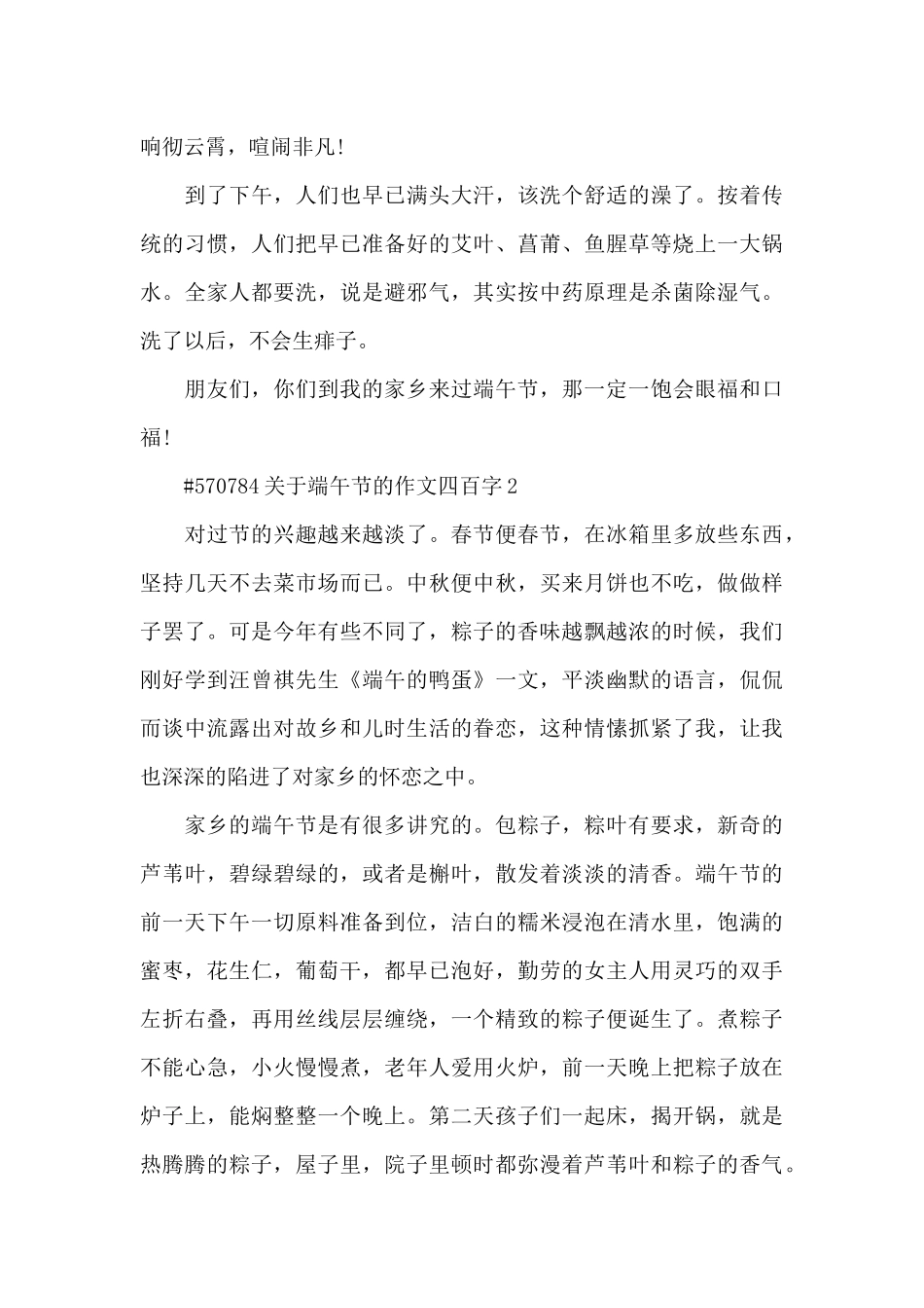 关于端午节的优秀作文四百字6篇_第2页