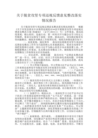 关于脱贫攻坚专项巡视反馈意见整改落实情况报告