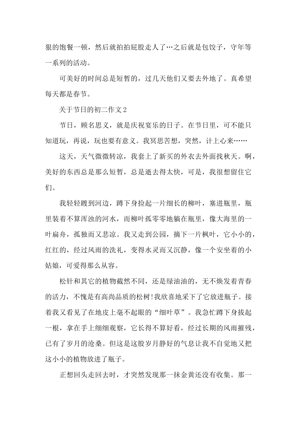 关于节日的初二作文范文7篇_第2页