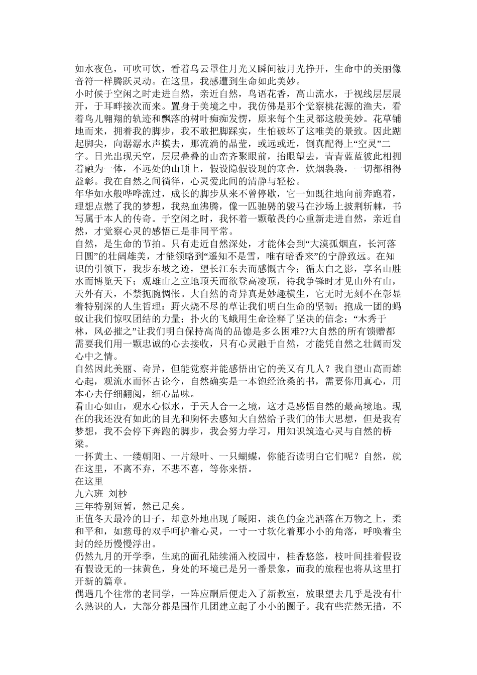 关于路飞的作文共3篇)精选_第2页