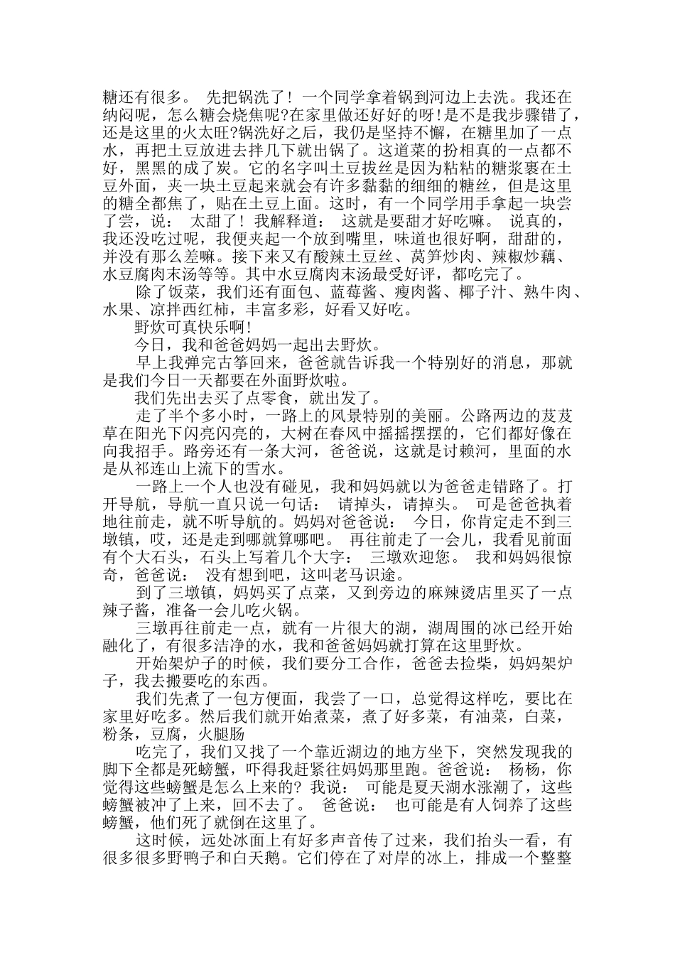 关于野炊的作文大全_第3页