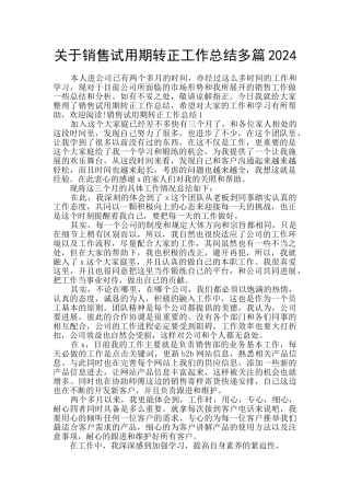 关于销售试用期转正工作总结多篇2024