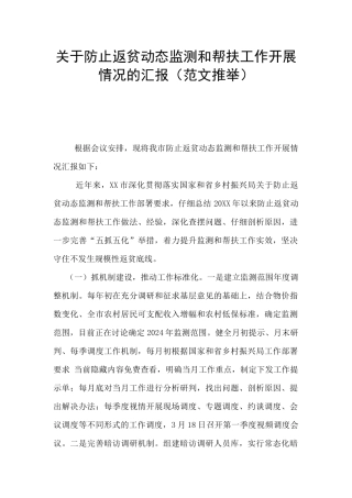 关于防止返贫动态监测和帮扶工作开展情况的汇报