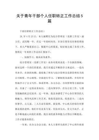 关于青年干部个人任职转正工作总结5篇
