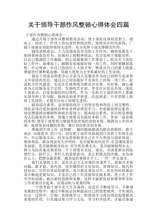 关于领导干部作风整顿心得体会四篇