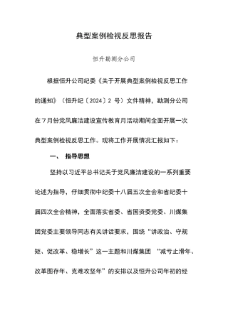 典型案例检视反思报告