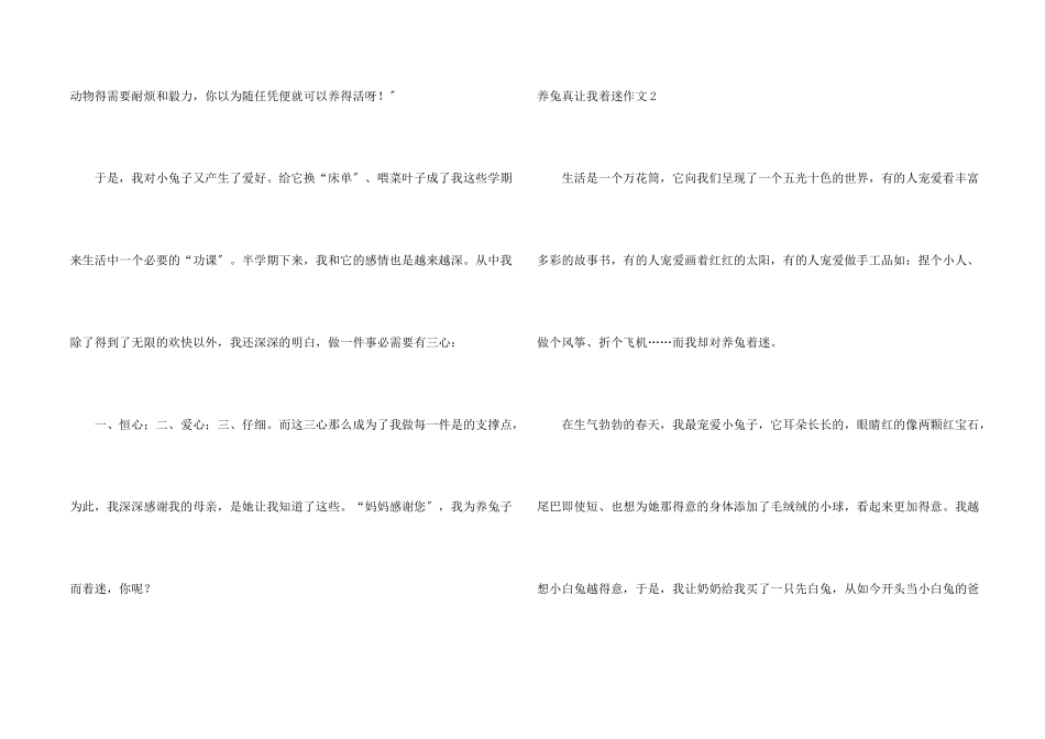 养兔真让我着迷_第2页