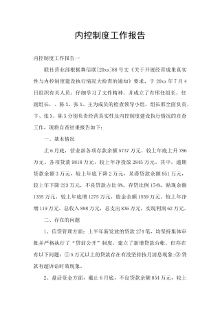 内控制度工作报告