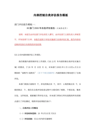 内控自我评估报告模板
