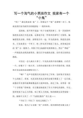 写一个调皮的小男孩作文