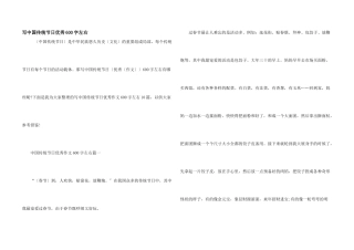 写中国传统节日优秀600字左右