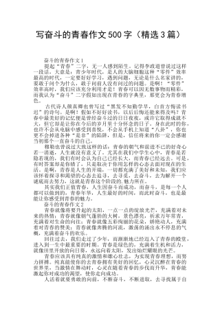 写奋斗的青春作文500字