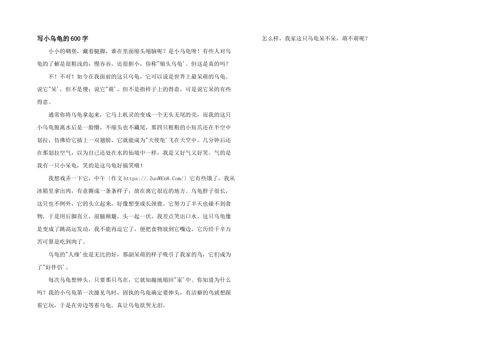 写小乌龟的600字_第1页