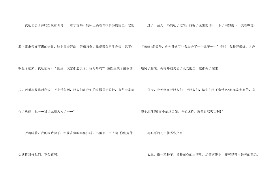写心愿的初一优秀_第2页