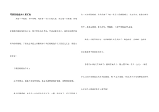 写我的姐姐的5篇汇总