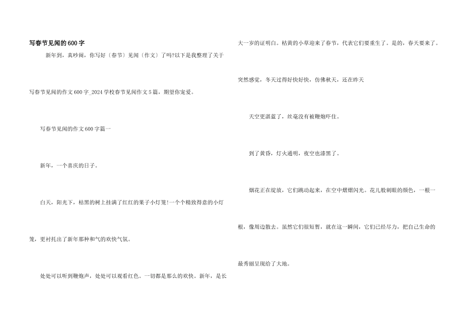 写春节见闻的600字_第1页