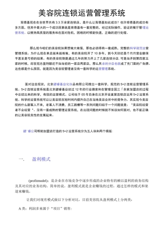 美容院连锁运营管理系统wps