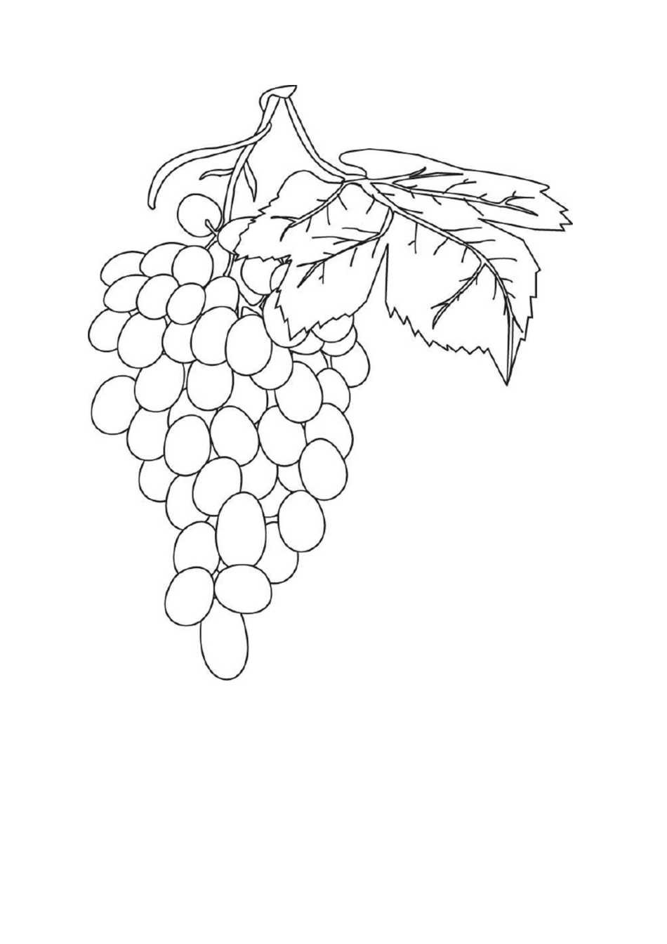 幼儿涂色大图_第2页