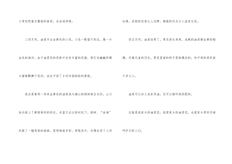 写物的300字九篇_第3页
