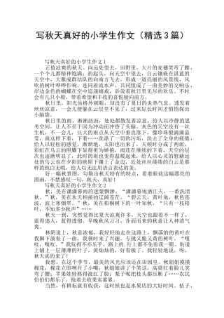 写秋天真好的小学生作文