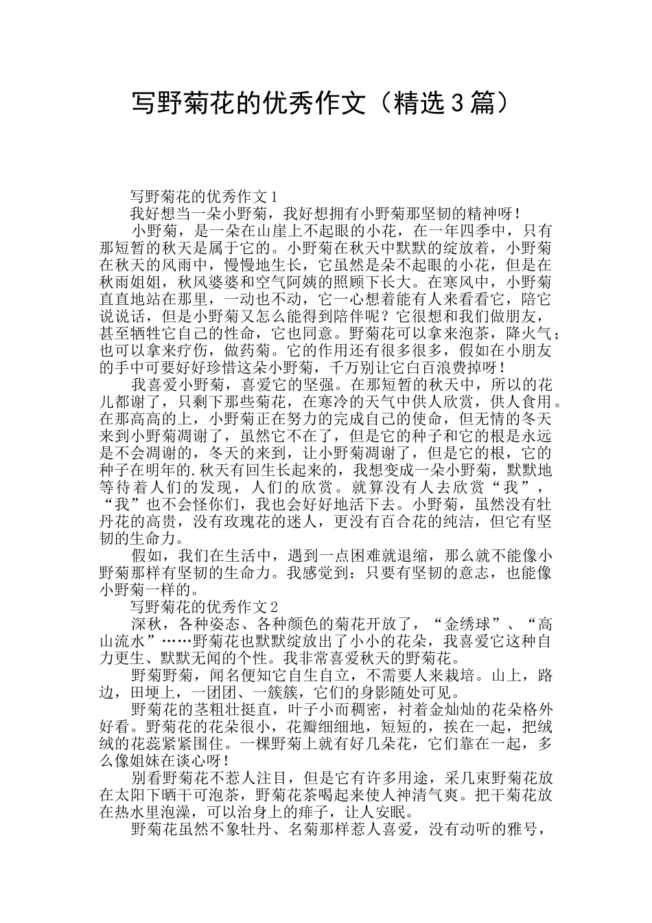 写野菊花的优秀作文_第1页