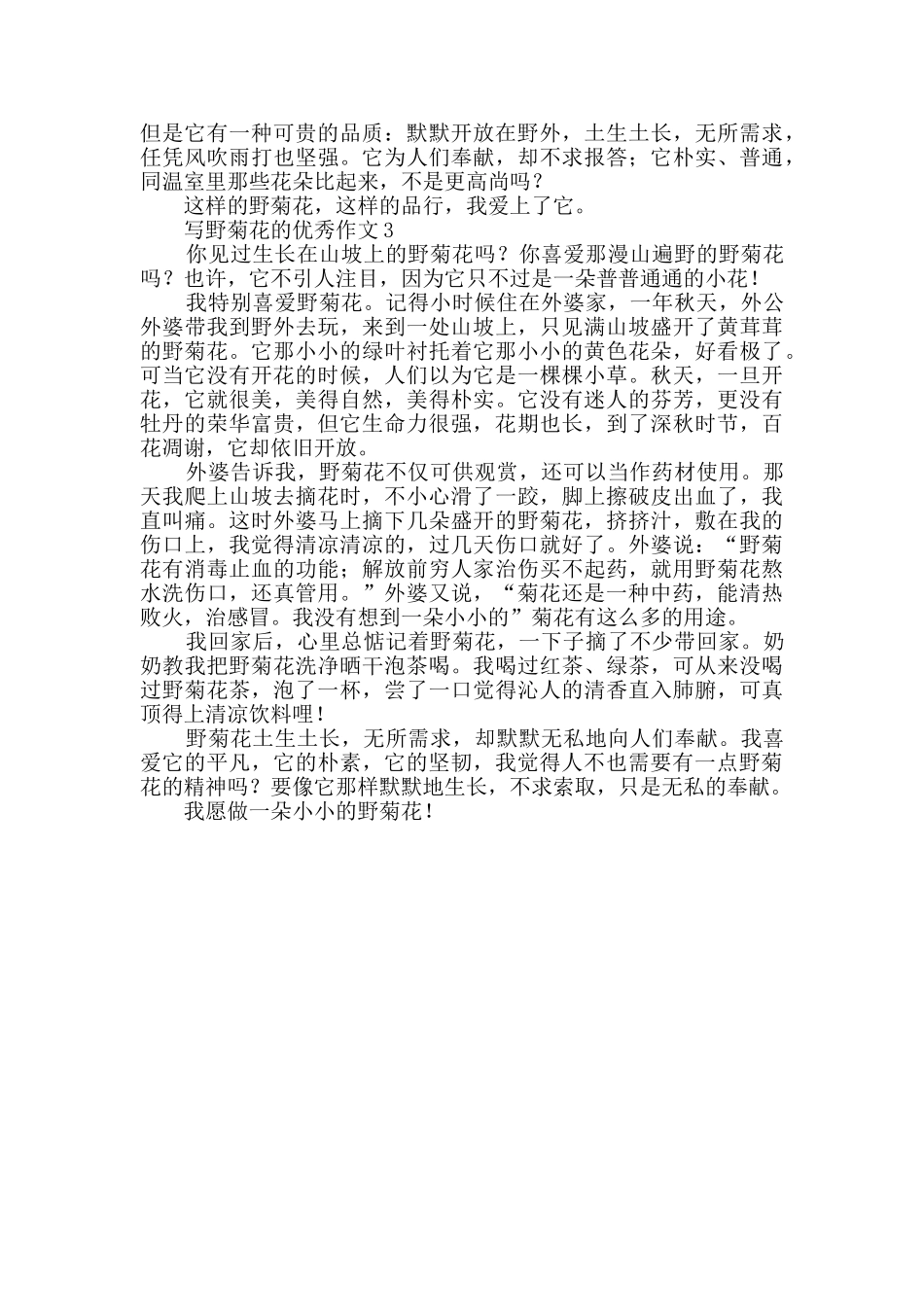 写野菊花的优秀作文_第2页