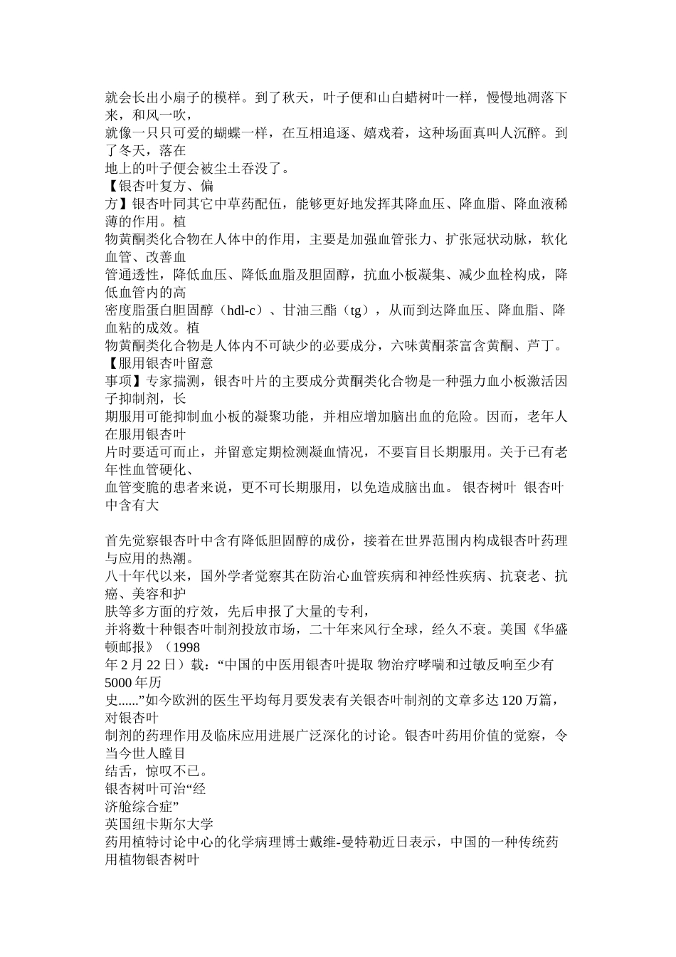 写银杏叶的作文_第3页