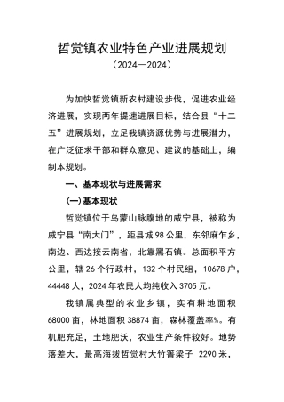 农业特色产业发展规划