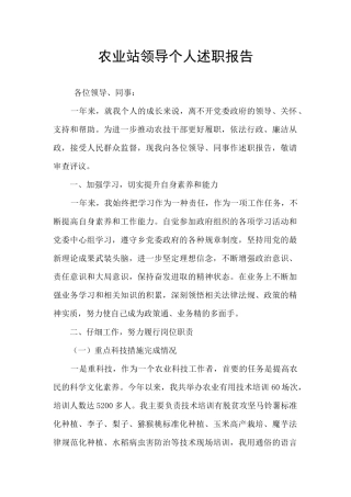 农业站领导个人述职报告