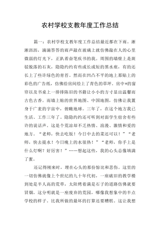 农村学校支教年度工作总结