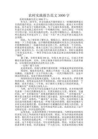 农村实践报告范文3000字