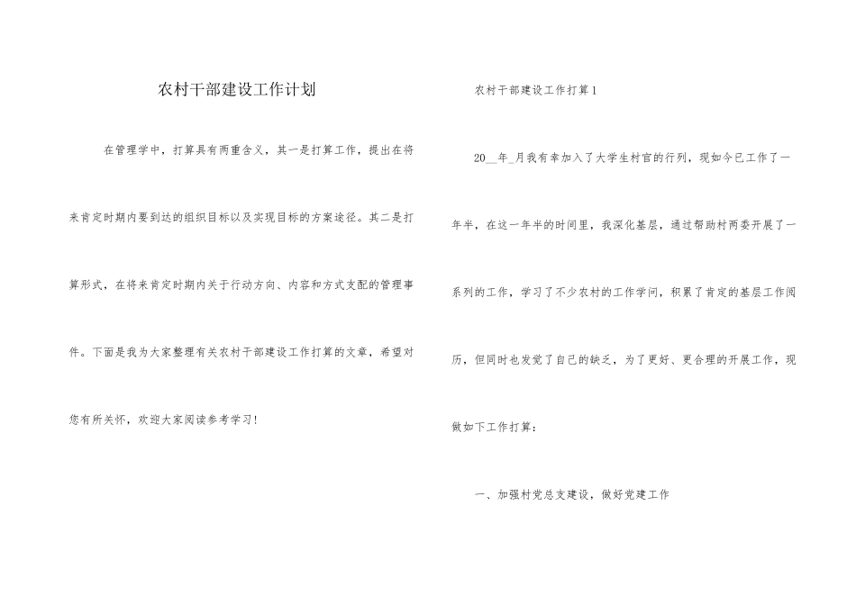 农村干部建设工作计划_第1页