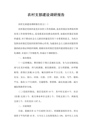 农村支部建设调研报告