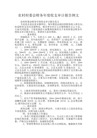 农村村委会财务年度收支审计报告例文