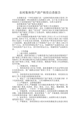 农村集体资产清产核资自查报告