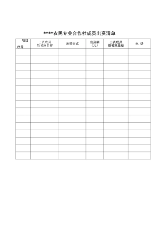 农民专业合作社成员出资清单