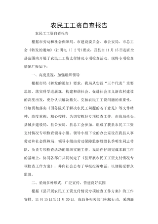 农民工工资自查报告