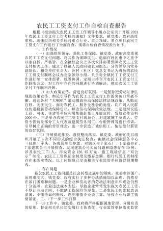 农民工工资支付工作自检自查报告