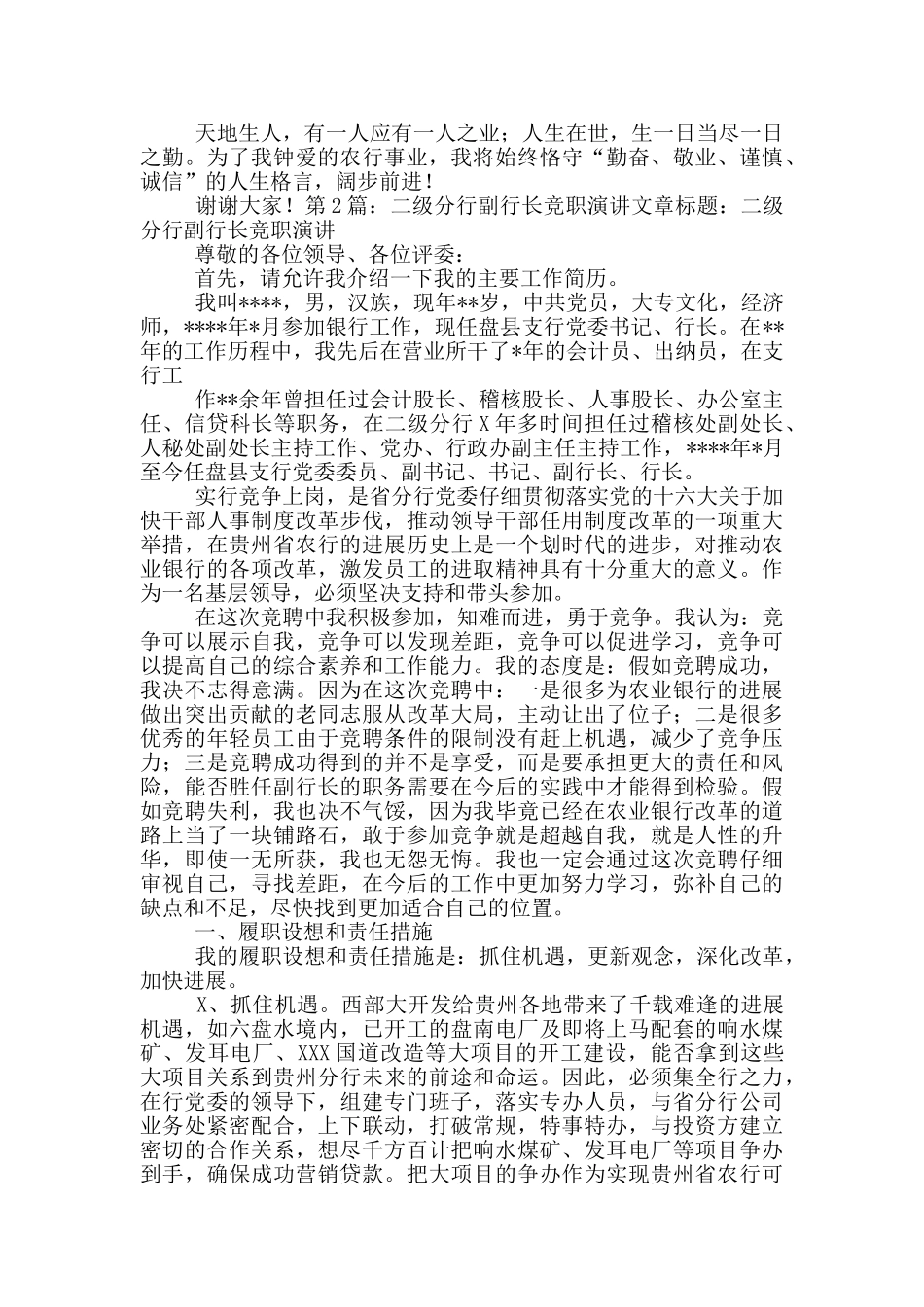 农行二级分行副行长岗位职责_第3页