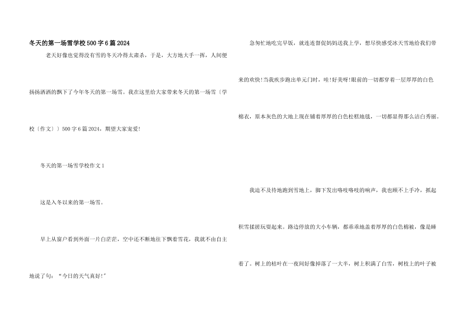 冬天的第一场雪小学500字6篇2024_第1页