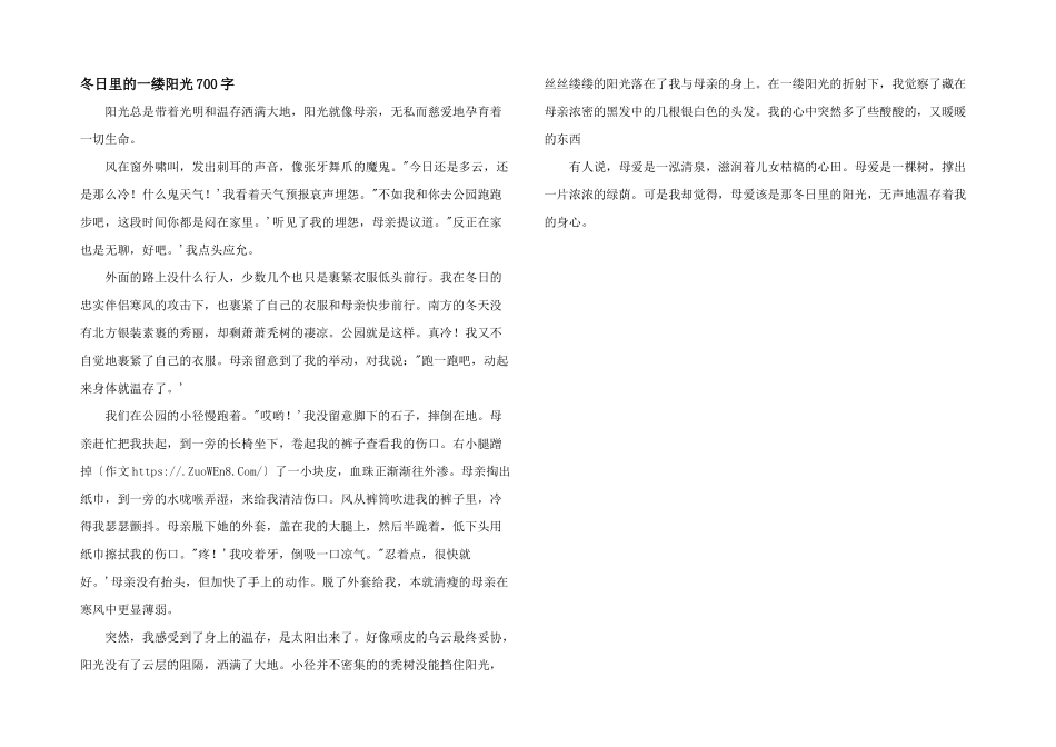 冬日里的一缕阳光700字_第1页