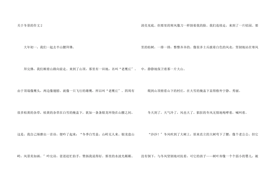 冬景的(集锦12篇)_第3页
