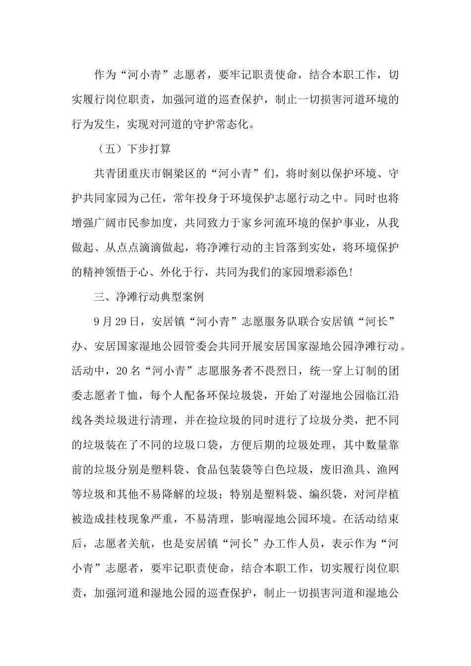 净滩行动工作总结_第3页